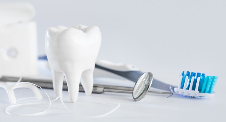 A dental model and other dental equipment on a white background.