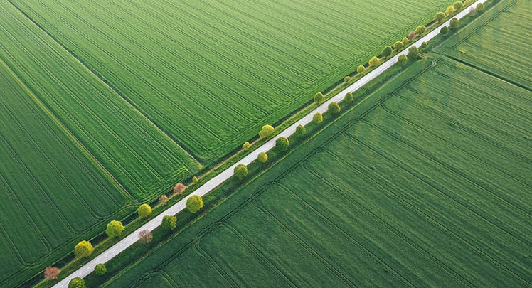 An aerial view of a road in a green field.
